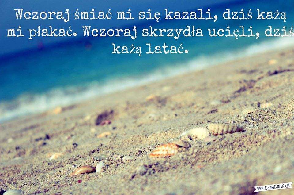 10857396_869172763139010_1465959199124588864_o