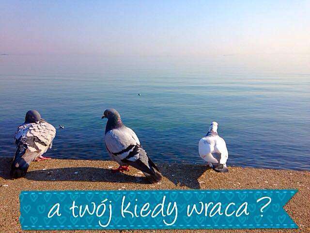 11081363_892062757516677_4415220152931659854_n