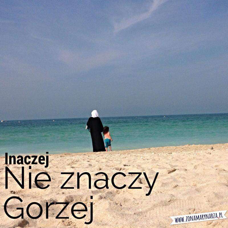 1610860_855946931128260_9176495247000966066_n