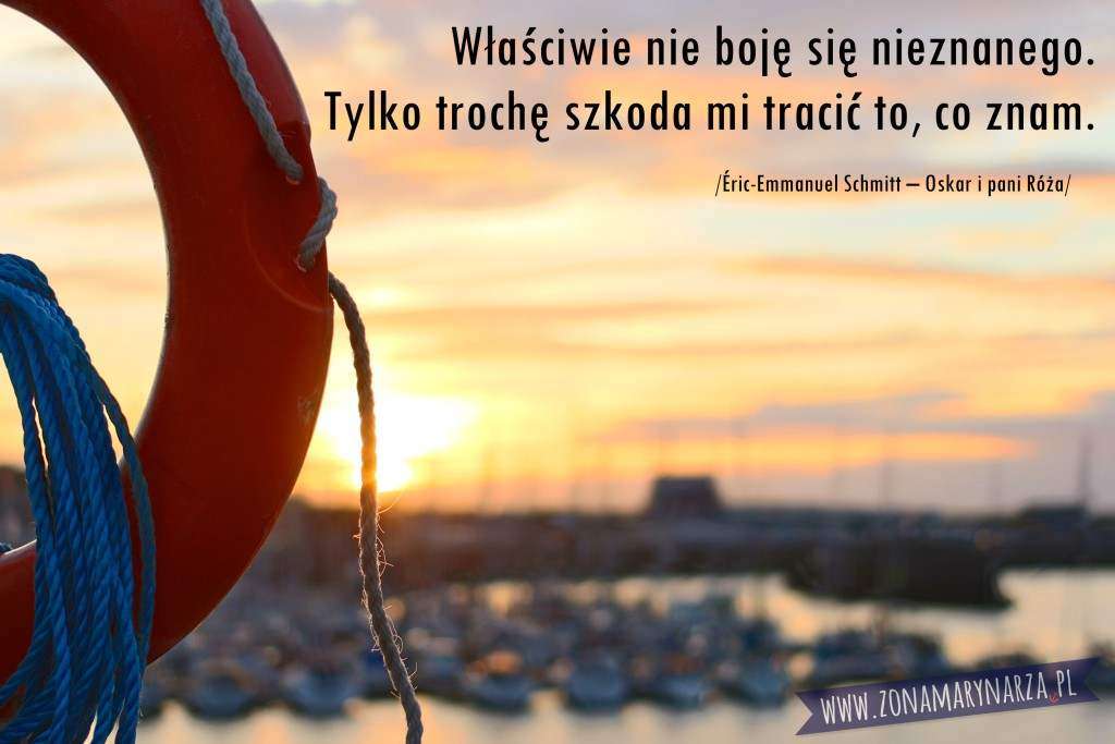 harbor-harbour-lifebelt-4653