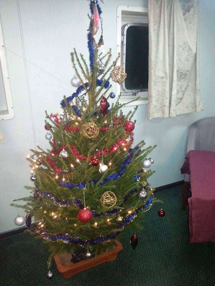 1240060_1030472513675700_2445479768695681132_n