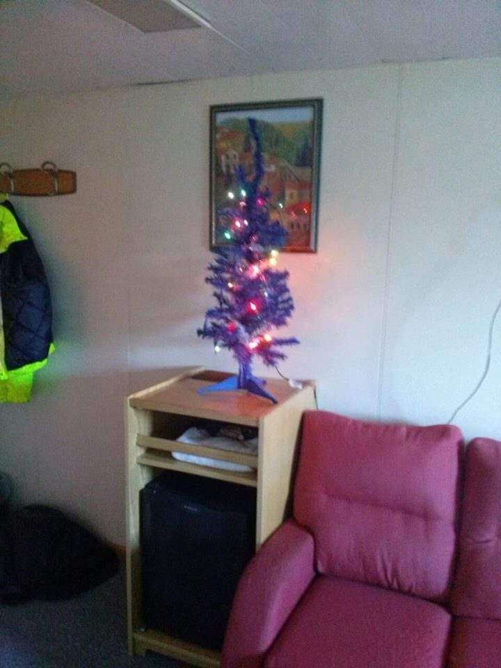 1930639_1030472810342337_760202902594234848_n