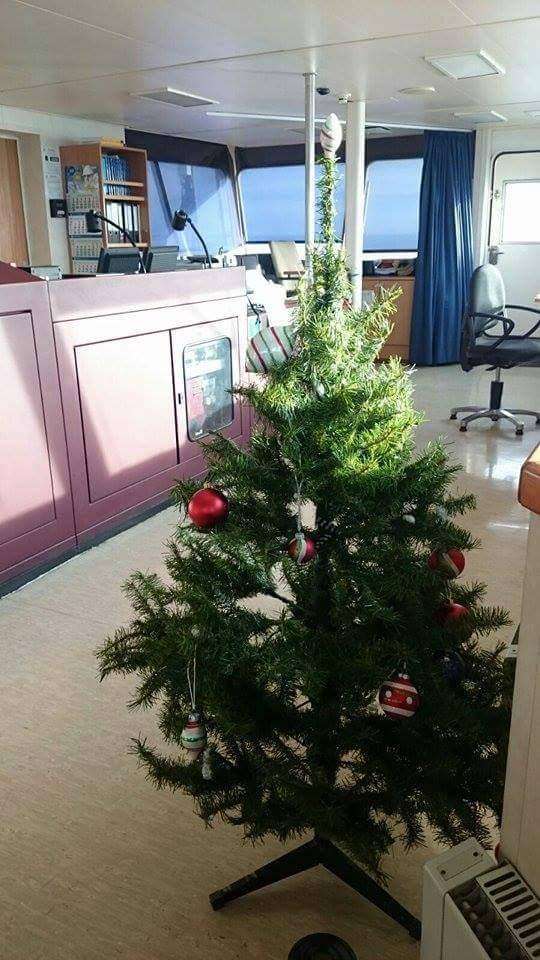 1930865_1031945510195067_2280206948315606585_n