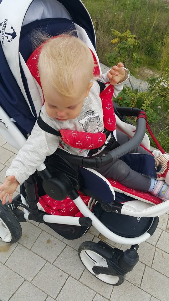 21691152_1664259086959399_224553260_n